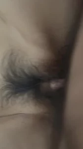 草叶集txt下载